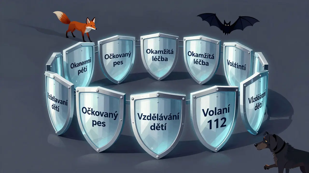 Kruh ochranných štítů chrání člověka před rabie.
